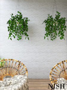 bohemian interior design plants