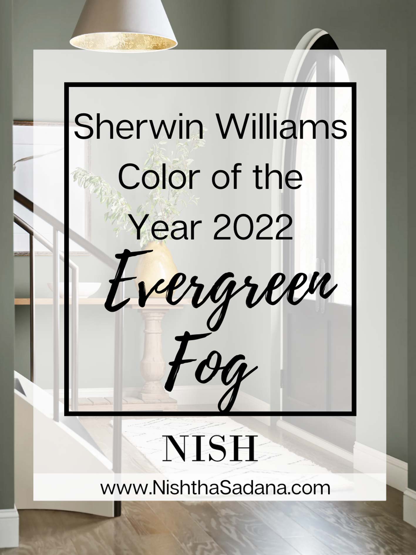 color of the year 2022 evergreen fog