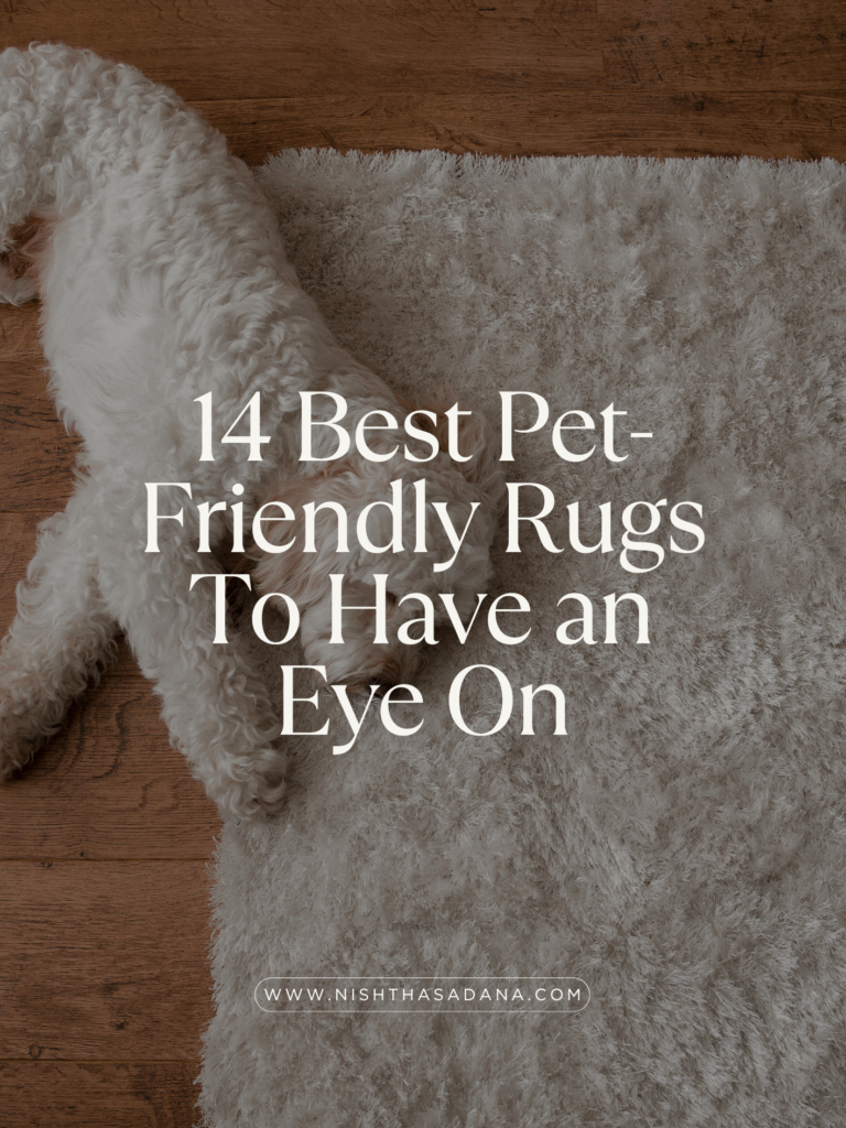 pet-friendly-rugs