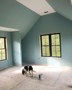 sw blue colors