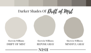 Darker Shades of Sherwin Williams Drift of Mist