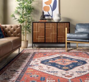 11-Red-rug-blue-couch