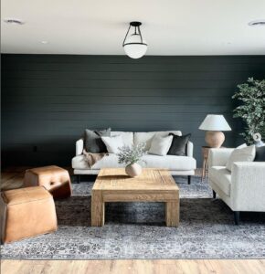 sw-iron-ore-accent-wall