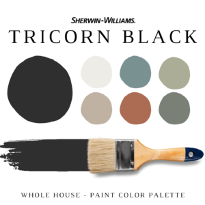 TRICORN BLACK