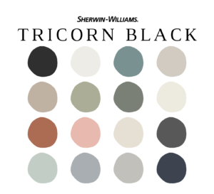 Sherwin Williams TRICORN BLACK