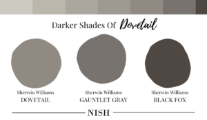 DARKER-Shades-of-Sherwin-Williams-Dovetail
