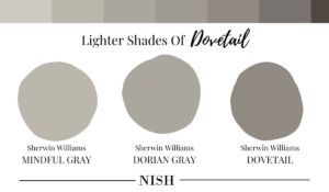 Lighter-Shades-of-Sherwin-Williams-Dovetail