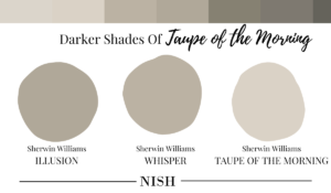 Darker-Shades-of-Sherwin-Williams-Taupe-of-the-Morning