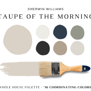 Sherwin Williams TAUPE OF THE MORNING Color Palette