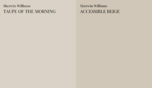 Taupe-of-the-Morning-vs-accessible-beige