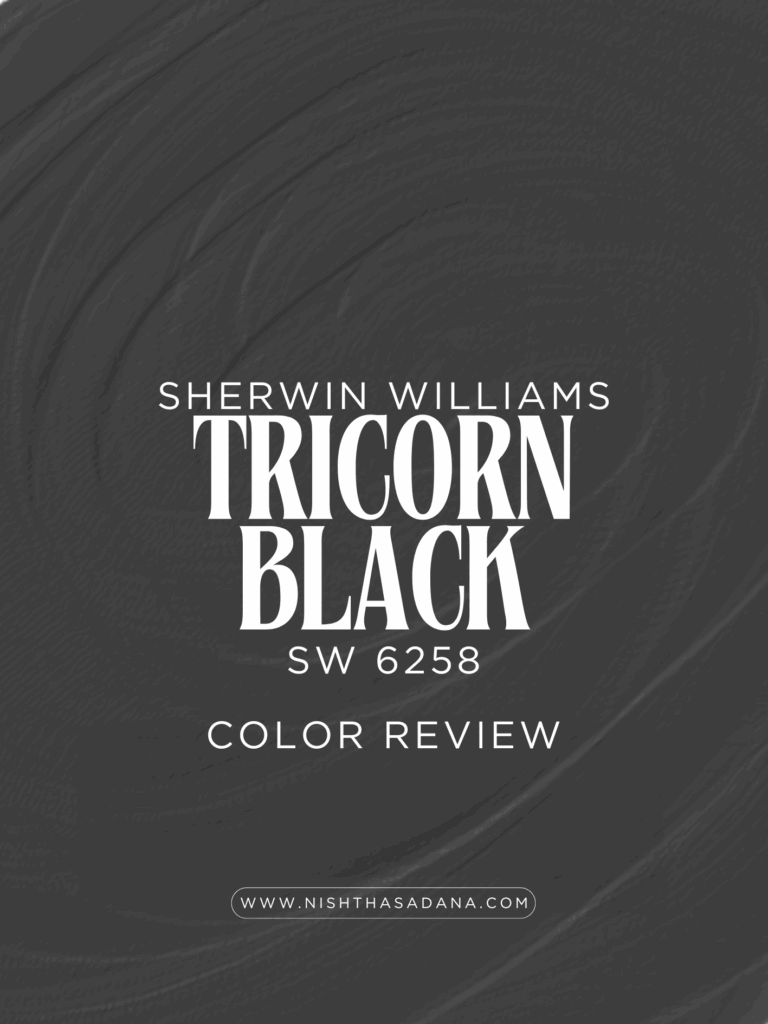 sherwin-williams-TRICORN-BLACK