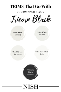 trim-colors-that-go-with-sherwin-williams-tricorn-black