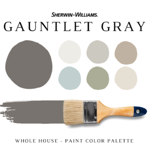 SW GAUNTLET GRAY