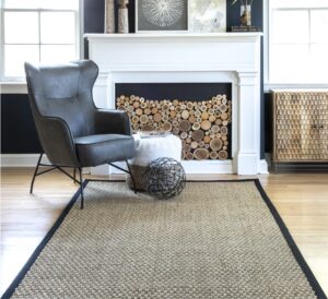 what-color-rug-goes-with-black-furniture