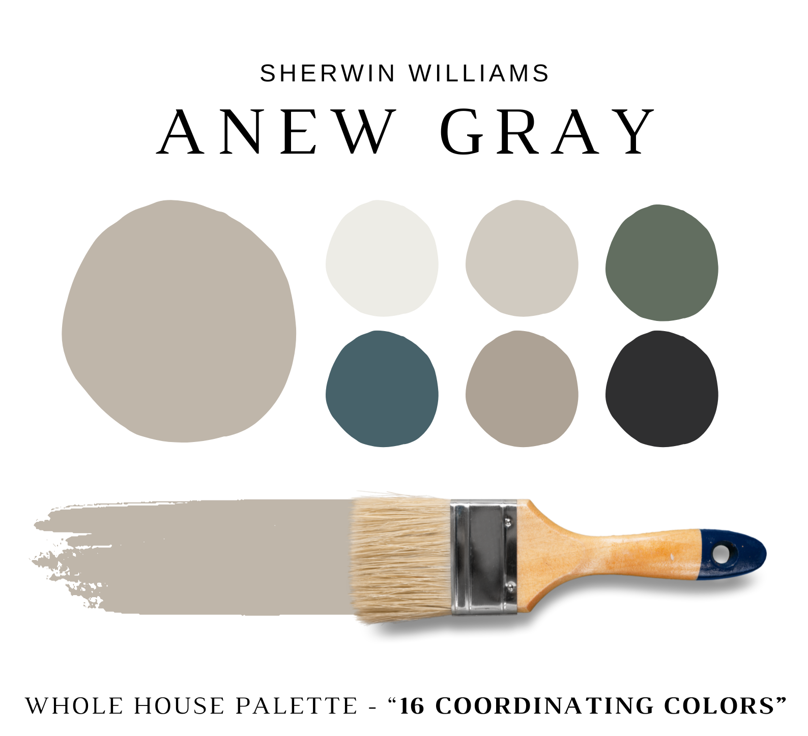 Sherwin Williams ANEW GRAY Color Palette