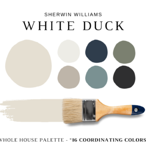 Sherwin-Williams-White-Duck