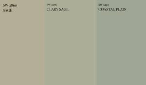 Sherwin-williams-clary-sage-paint-color