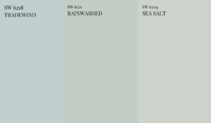 Sherwin-williams-rainwashed-paint-color