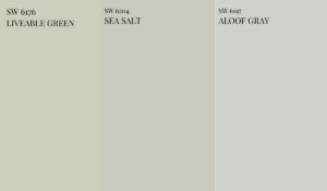 Sherwin-williams-Sea-Salt-color