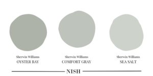 sea-salt-by-sherwin-williams