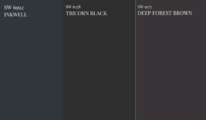 sw-BLACK-paint-color