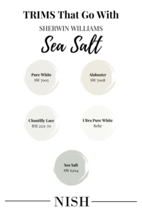 trim-colors-that-go-with-sherwin-williams-sea-salt
