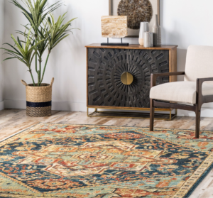 rugs-with-green-couch