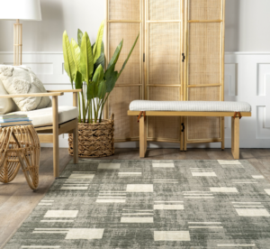 beige-couch-green-rug