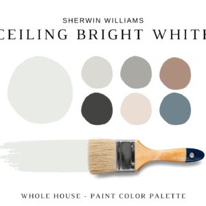 Sherwin Williams CEILING BRIGHT WHITE