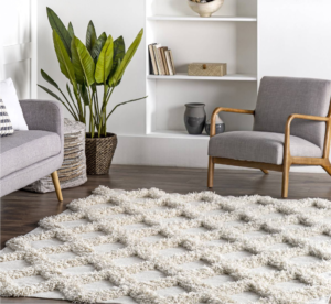 rugs-for-red-couches