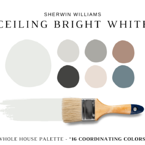 Sherwin-Williams-Ceiling-Bright-White