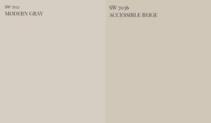 sw-accessible-beige-vs-MODERN-GRAY