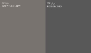 SW-PEPPERCORN-VS-SW-GAUNTLET-GRAY