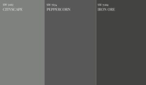 SW-PEPPERCORN-VS-SW-Iron-Ore-vs-Cityscape