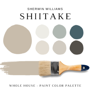 Sherwin Williams SHIITAKE Color Palette