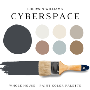 Sherwin Williams CYBERSPACE