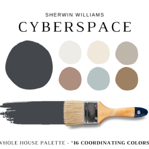 Sherwin-Williams-Cyberspace