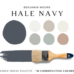Benjamin-Moore-Hale-Navy