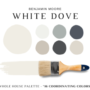 Benjamin-Moore-White-Dove