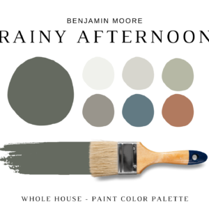 Benjamin Moore RAINY AFTERNOON