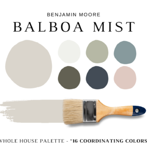 Benjamin-Moore-Balboa-Mist