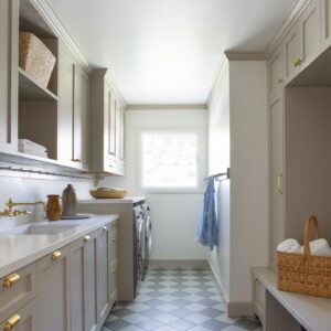 Benjamin Moore Greige Paint
