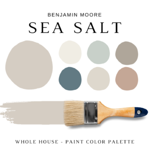 Benjamin Moore SEA SALT Color Palette