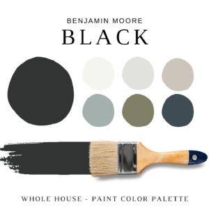 Benjamin Moore BLACK Color Palette