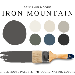 Benjamin-Moore-Iron-Mountain