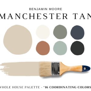 Benjamin Moore MANCHESTER TAN Color Palette