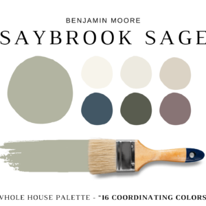 Benjamin Moore SAYBROOK SAGE Color Palette