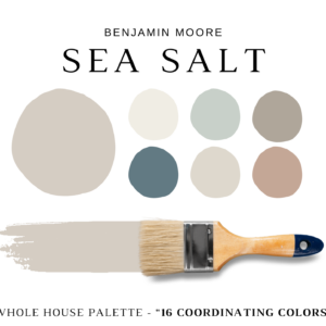 Benjamin Moore SEA SALT Color Palette