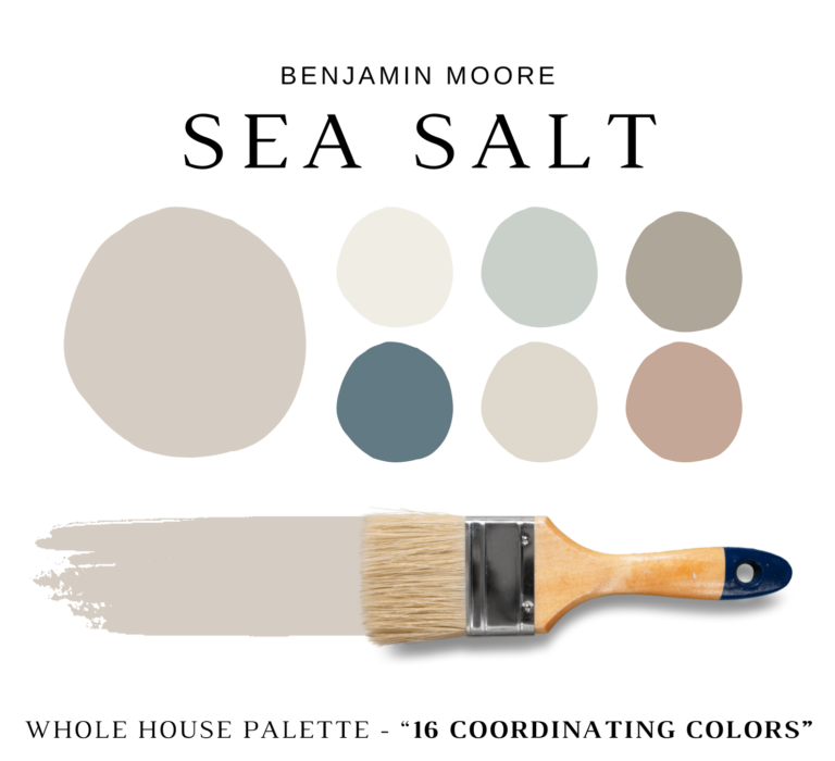 Benjamin Moore SEA SALT Color Palette