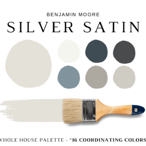 Benjamin-Moore-Silver-Satin